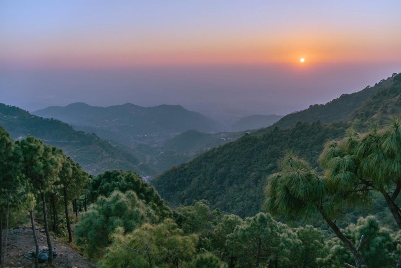Apartament Panormic View By The North Edge Kasauli Zewnętrze zdjęcie